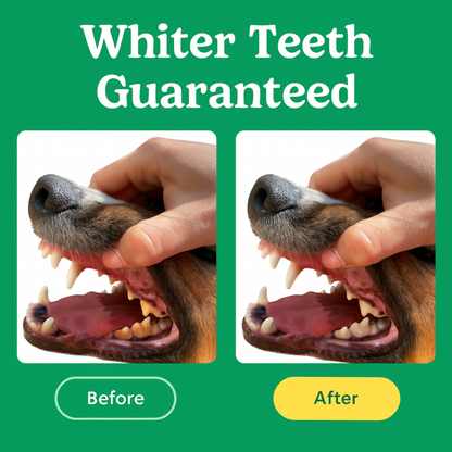 Dog Teeth Cleaning Toothpaste & Tooth Brushing Kit